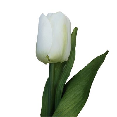 28" Tulip W/Leaves Cream