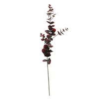 Eucalyptus Spray Brown - 75cm