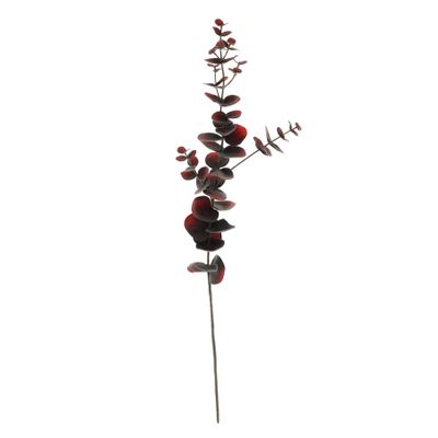 Eucalyptus Spray Brown - 75cm