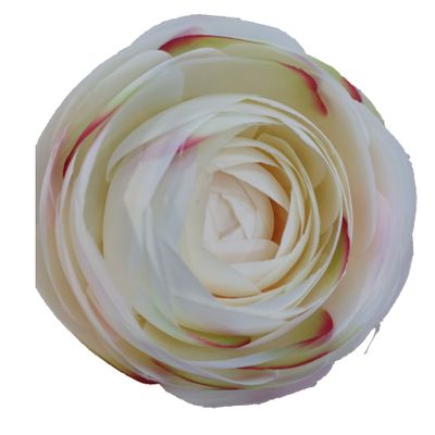 19.5" Ranunculus Cream