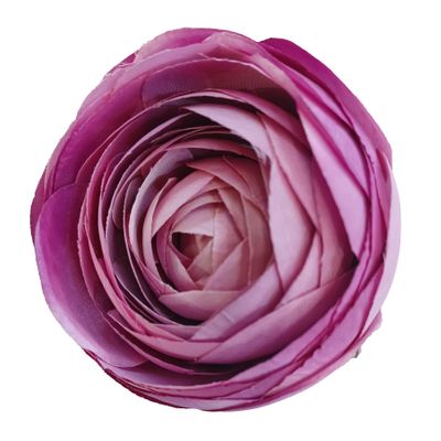 19.5" Ranunculus Mauve