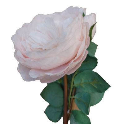 65cm Peony Rose Lt Pink