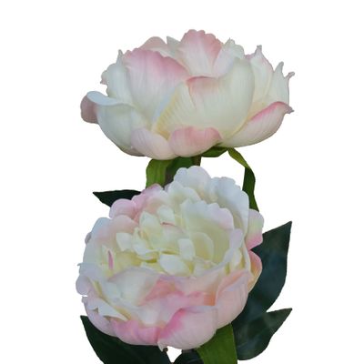 26" Peony x 2 Cream/Pink