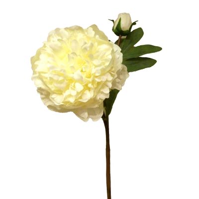 26" Peony x 2 Cream/Pink