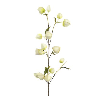 105cm Lantern Spray Cream