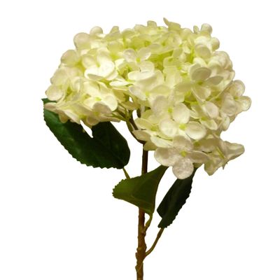 56cm Hydrangea Cream