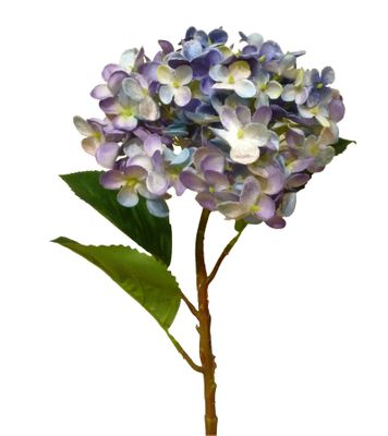 56cm Hydrangea Blue