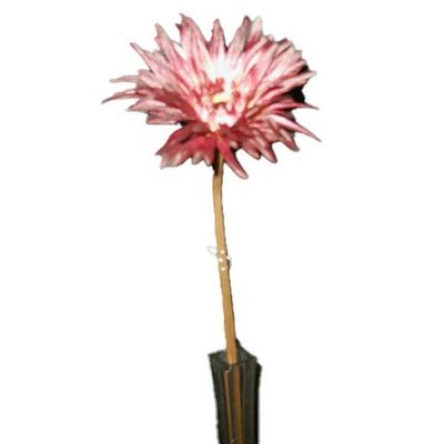 Burgundy Gerbera Daisy Spray