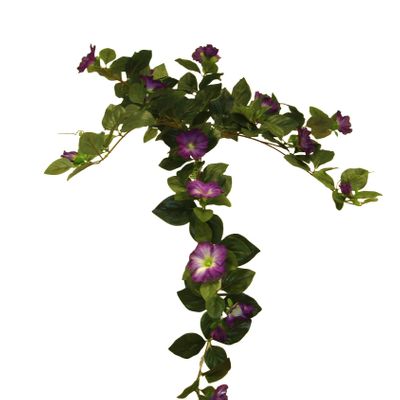 Hanging Petunia Vine Purple