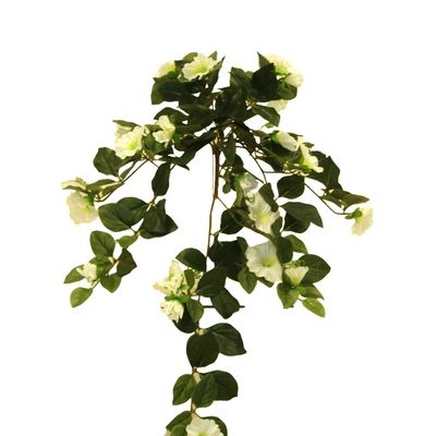 Hanging Petunia Vine White