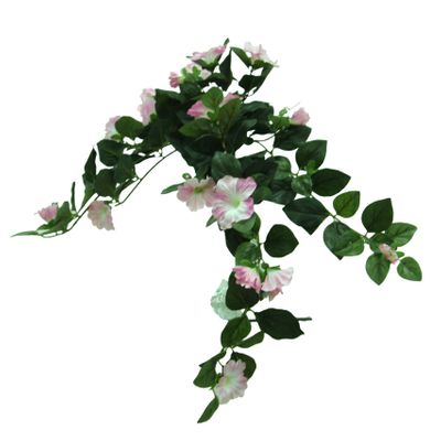 Hanging Petunia Vine Pink