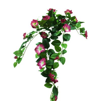 Hanging Petunia Vine Beauty