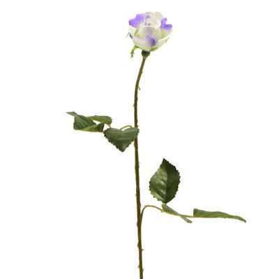 Rosebud Lilac