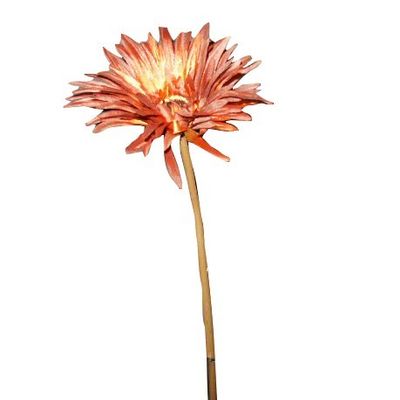 Rusty Gerbera Daisy Spray