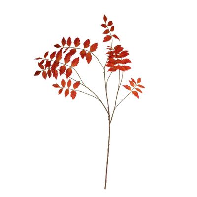Rhus Typhina Leaf Spray - 111cm