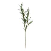Eucalytus Berry - 88cm