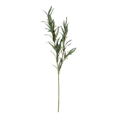 Eucalytus Berry - 88cm