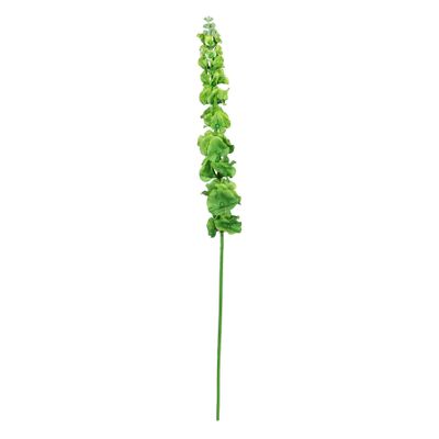 Bell Of Ireland Stem - 79cm