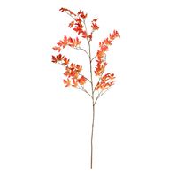 Maple Leaf - Orange - 172cm