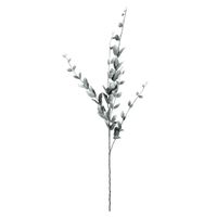 Lonicera Leaf Spray X 5 - 118cm