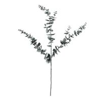 Eucalyptus Spray - 105cm