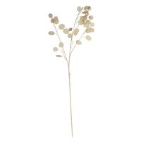 Silver Dollar - 105cm