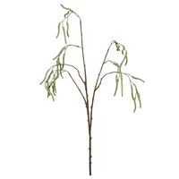 Alder Tree Spray - 81cm