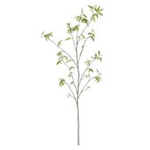 Acer Leaf Spray - 172cm