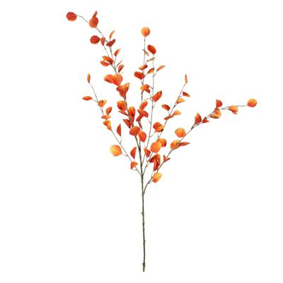 Eucalyptus Spray Orange - 121cm