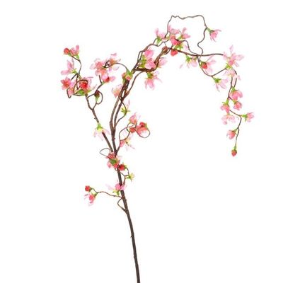 Cherry Blossom Weep Brnch Pink