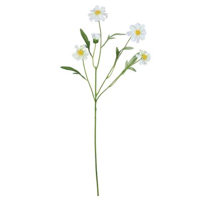Scabiosa Spray Cream - 68cm