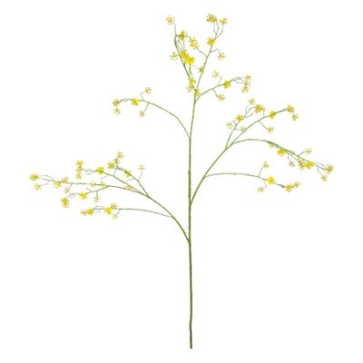 Cornus Mas Tree Flower - 123cm