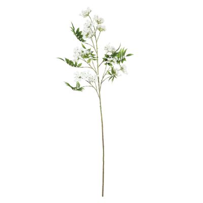 Blossom Spray Cream - 148cm