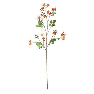 Rose Hips Spray - 96cm