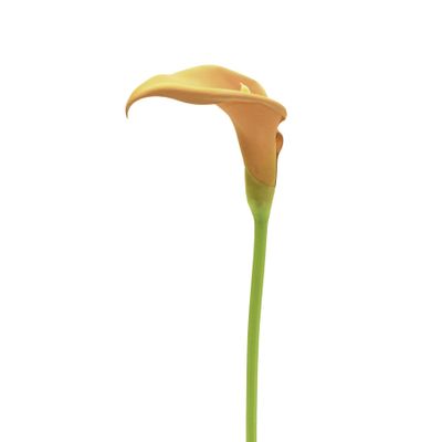 Lge Cala Lily Peach