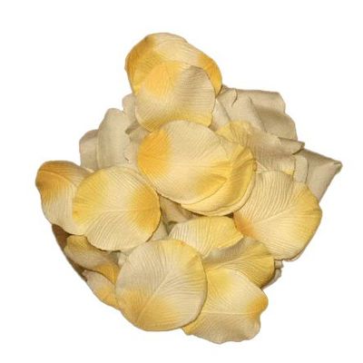 Rose Petals Cream/Yellow