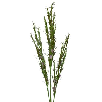 Herb Weed Spray Purple