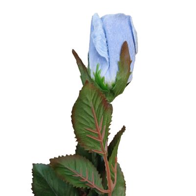Velvet Rosebud  Blue