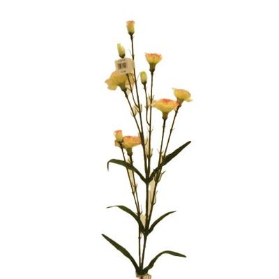 Carnation Spray Pink/Cream