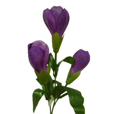 Purple Crocus Spray