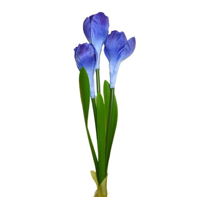 Crocus Spray x3 Purple