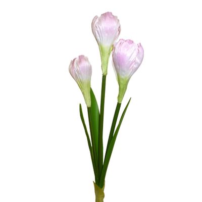 Crocus Spray x3 Pink