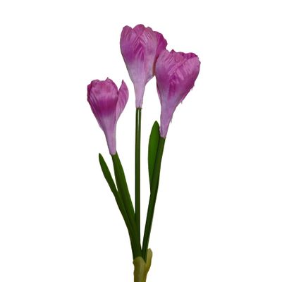 Crocus Spray x3 Hot Pink