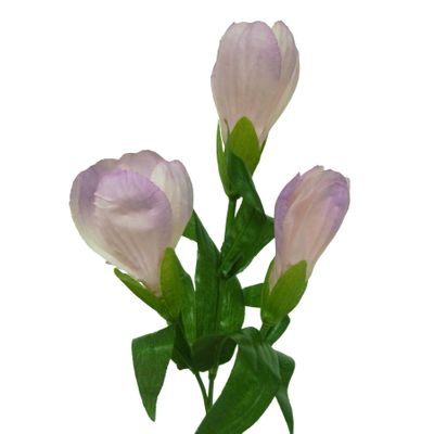Pink Crocus Spray