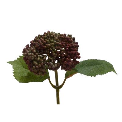 Berry Spray Burgundy