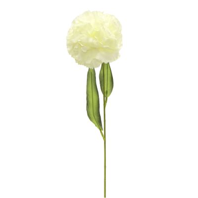 Carnation Cream