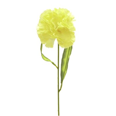 Carnation Yellow
