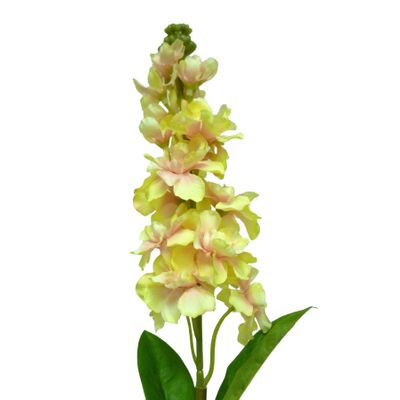 65cm Snapdragon Peach