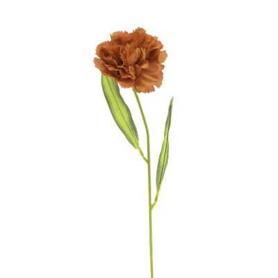 Carnation Terracotta