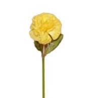 Carnation Dark Yellow